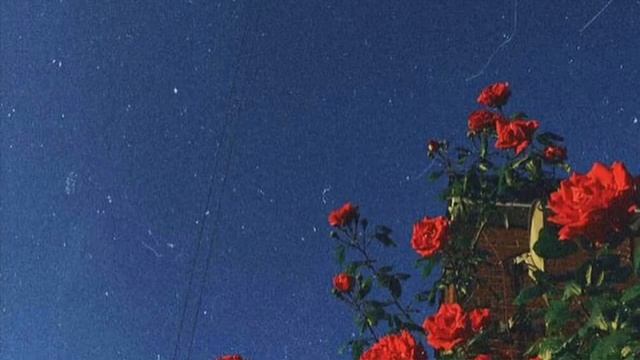 Bastille - World Gone Mad (slowed) смотреть онлайн