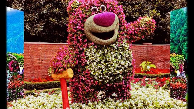 Самые красивые кусты в мире ?!!!!!! смотреть онлайн