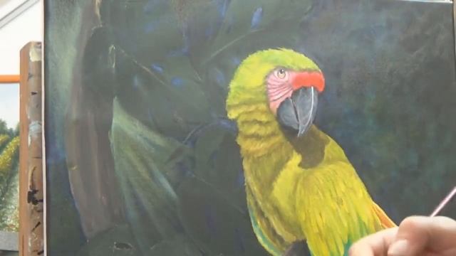 Как нарисовать попугая ара в тропическом пейзаже. Живопись маслом мастер класс. Рисуем джунгли масл смотреть онлайн