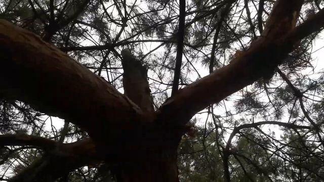 Восстановить себя основательно = чувствовать энергию творения! #энергия