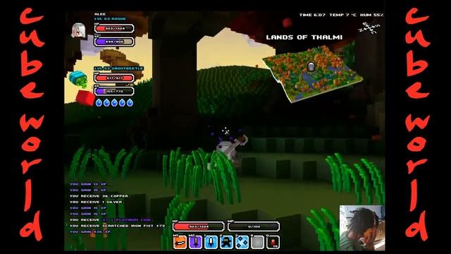 Picaro (Rogue) Cube World смотреть онлайн
