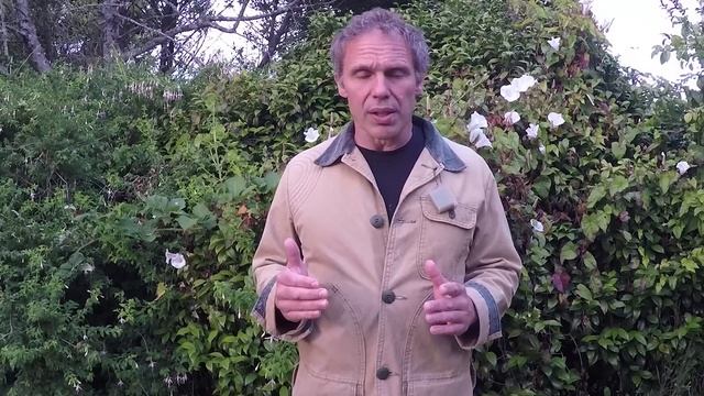 Personal Protection:  10mm Vs  .45 ACP