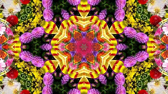 Видеофоны! Видеофон Осенняя Цветочная фантазия 4! Videophone Autumn Flower Fantasy! Осенний футаж!