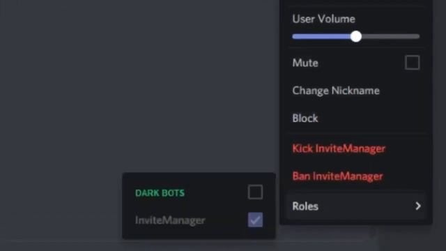 How To Add And Setup InviteManager Bot Join Leave System Etc English Being смотреть онлайн