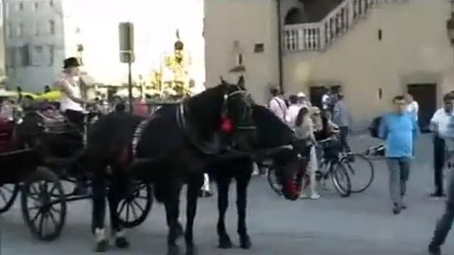 Тур в Польшу смотреть онлайн
