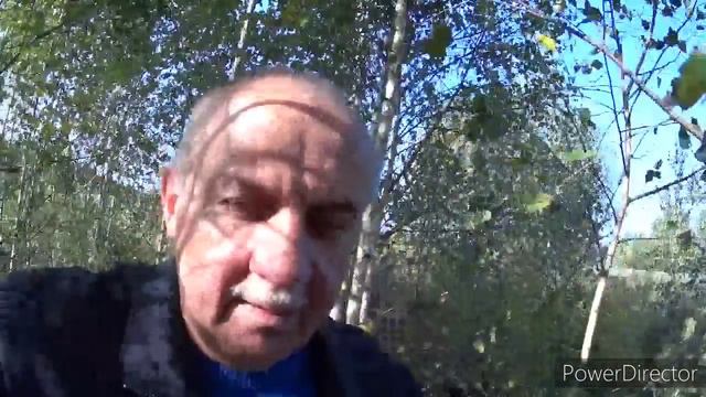 Что мы купили и почем. Теперь у нас есть собака.Vlog.Брест смотреть онлайн