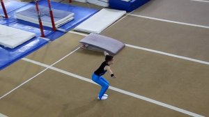 3 взрослый разряд по спортивной гимнастике.