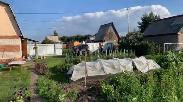 ЖИВЕМ НА ДАЧЕ/УЧАСТОК ВЕСЬ ЗАРОС/ПРОПОЛКА ЗАРОСШЕГО УЧАСТКА/ЧТО ВЫРОСЛО НА МОЕЙ ЗАРОСШЕЙ ДАЧЕ смотреть онлайн