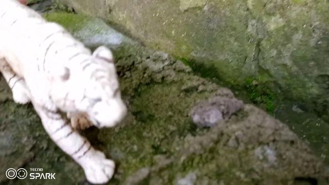 волшебный мир финал смотреть онлайн