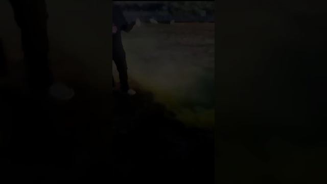VID-20240801-WA0379.mp4 смотреть онлайн