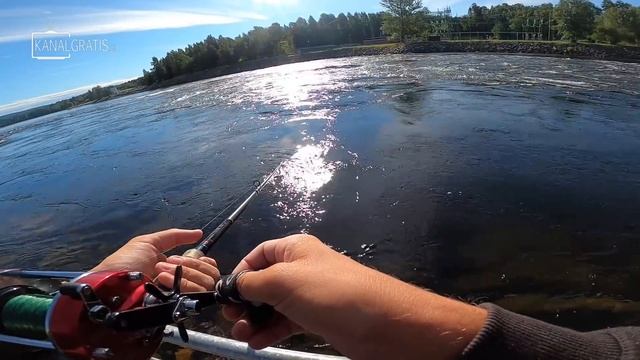 PENALTY FISHING - River Salmon Fishing (Toughest One This Far) | Team Galant смотреть онлайн