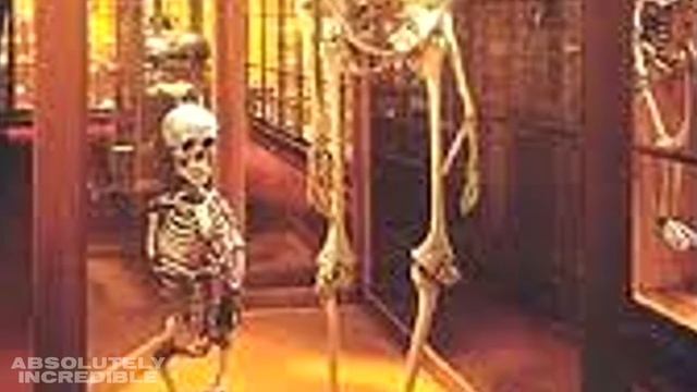 Настоящие ЧЕЛОВЕЧЕСКИЕ ГИГАНТЫ попали в камеру! смотреть онлайн