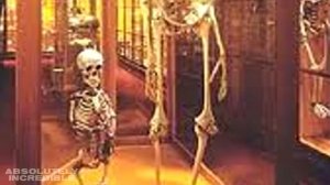 Настоящие ЧЕЛОВЕЧЕСКИЕ ГИГАНТЫ попали в камеру!