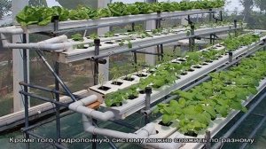 Гидропонная установка из Китая