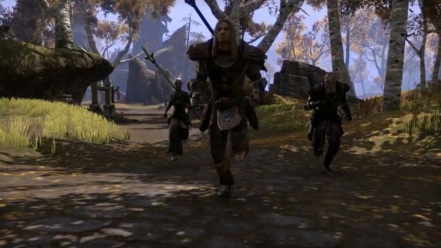 The Elder Scrolls Online 'E3 2013 Gameplay Trailer' [1080p] TRUE-HD QUALITY E3M13 смотреть онлайн