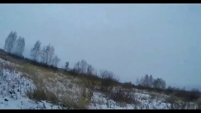 Заяц-русак. Способы охоты на зайца смотреть онлайн