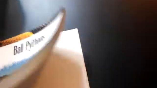 Reptile Book of The Week #4 - Benjamin's Exotics смотреть онлайн