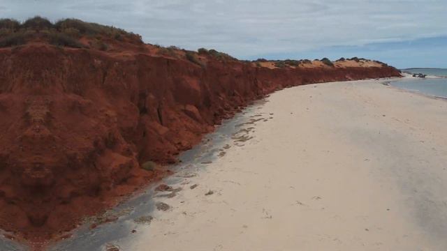 Shark Bay 2021 | 4K смотреть онлайн
