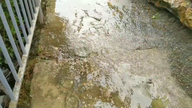 #спусккморю Ищу спуск к морю🌊 под скалой. Анапа смотреть онлайн