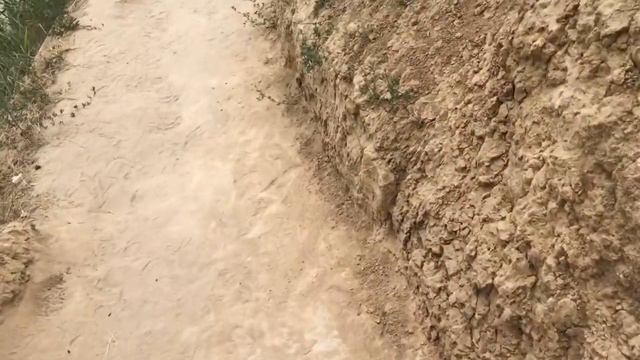 КРУТОЙ СПУСК К МОРЮ Курортное Одесская область Белгород-Днестровский район смотреть онлайн