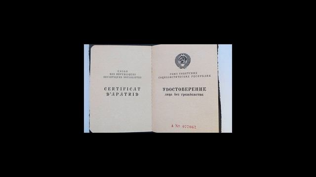 Как получить гражданство РФ лицу без гражданства в 2021 году смотреть онлайн