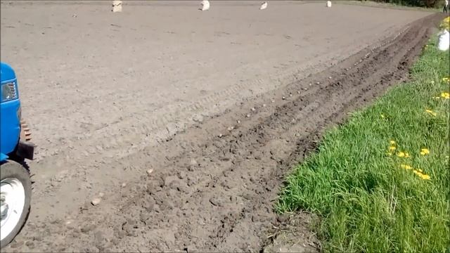 Голден скаут 24 смотреть онлайн