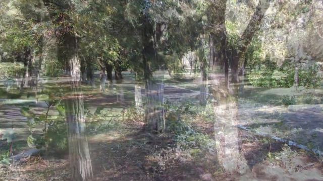 Парковая зона с.Красноармейское. Красноперекопский р-он. Крым. смотреть онлайн