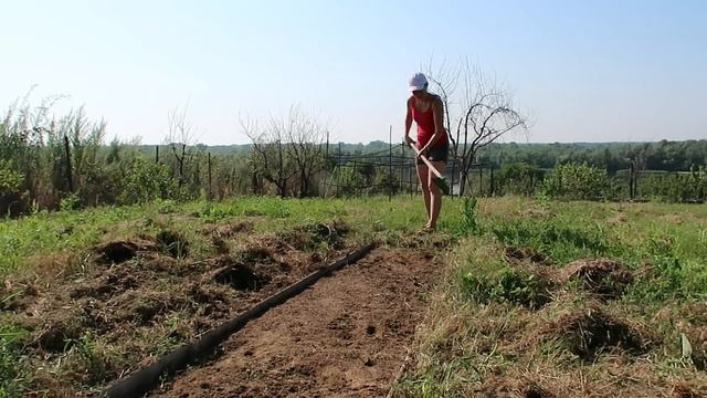 Gartenfreude für Gartenfreunde смотреть онлайн