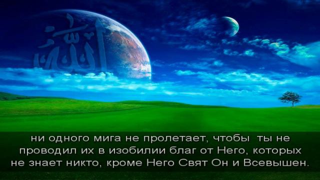Шейх аш-Шанкыти:"Сладость веры и богобоязненности" смотреть онлайн