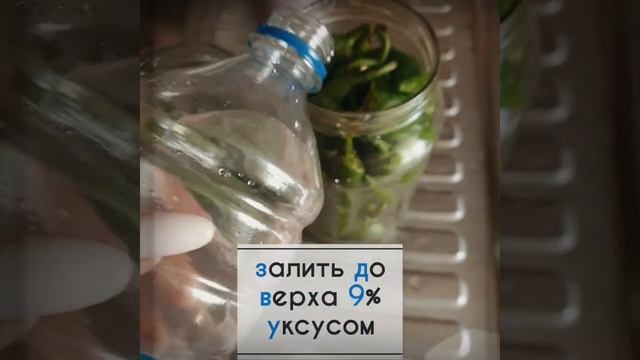 Маринованный жгучий перец ? смотреть онлайн