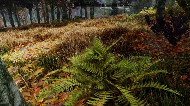 The Elder Scrolls V Skyrim AE Photo Realistic Forest MOD! смотреть онлайн