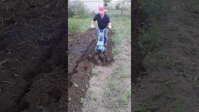 Мотоблок крот с оригинальным двигателем пашет будь смотреть онлайн