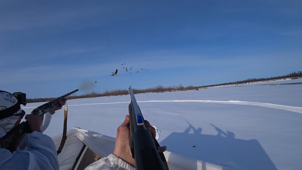 1 часть. УДАЧНАЯ ОХОТА НА ГУСЯ В ЯКУТИИ - СЕЗОН 2024: 1 ЧАСТЬ. GOOSE HUNTING YAKUTIA смотреть онлайн