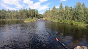 КАРЕЛИЯ 2023 нашли ФОРЕЛЕВОЕ МЕСТО || РЫБАЛКА на ГОРНОЙ РЕКЕ || КАРЕЛЬСКАЯ ФОРЕЛЬ на ЧЕРВЯ