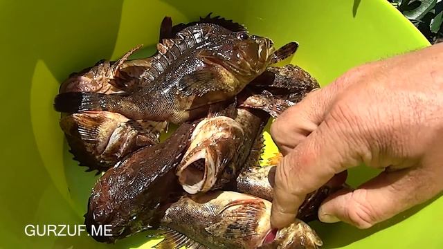 Крым - Гурзуф - рыбалка - Ёршики - скорпена : CRIMEA Online-Life смотреть онлайн