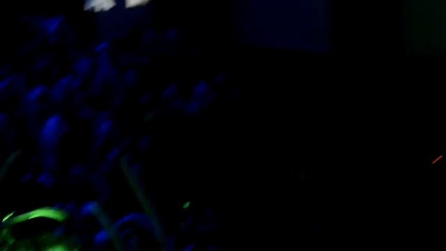 Coco Bongo Show (Punta Cana 2016) смотреть онлайн