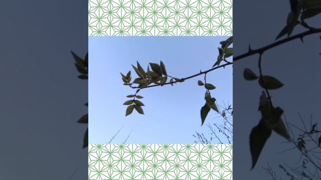 Музыкальная Открытка ? Доброе утро! ? смотреть онлайн