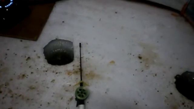 десногорск,богданово 2017 смотреть онлайн