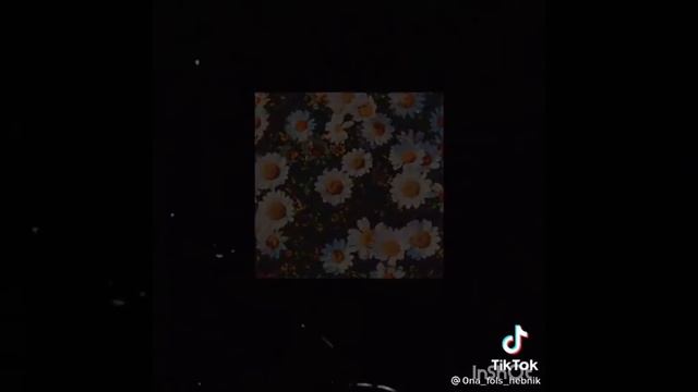 Видео обои из тик тока|• часть 1 смотреть онлайн