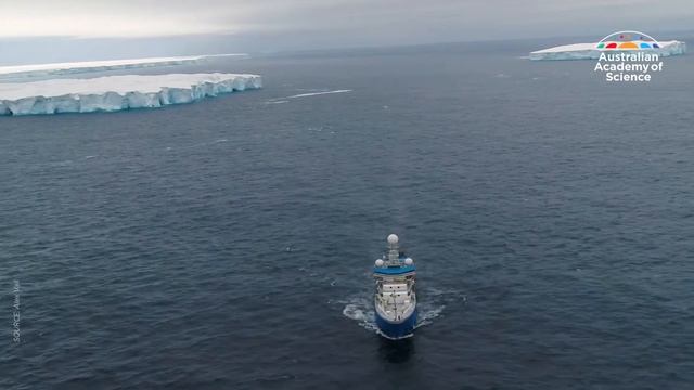 How much krill does a blue whale eat? смотреть онлайн