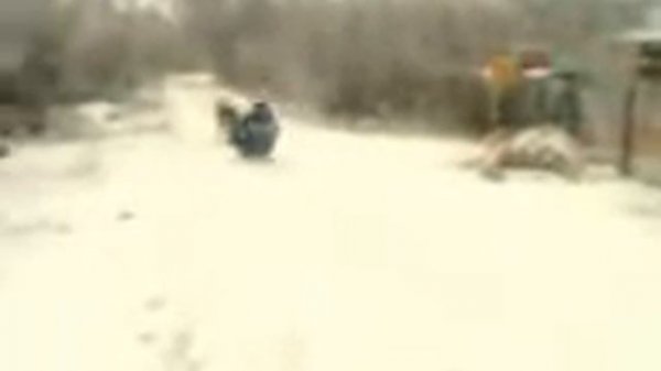 МОЯ СОБАКА ДЖЕК |  MY DOG JACK