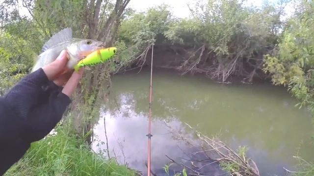 Окунь на воблер Kosadaka Convoy 90s, Твичинг Рыбалка Ловля окуня весной на спиннинг Nordic Stage смотреть онлайн