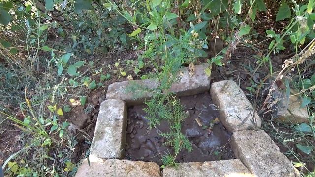 Влог: Едем на дачу / Не хочу справлять свой ДР? смотреть онлайн