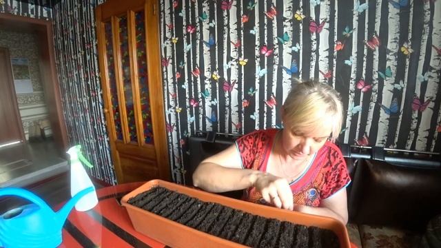 Лук на рассаду (ялтинский, эксибишен, ред-барон) /петуния на рассаду. смотреть онлайн