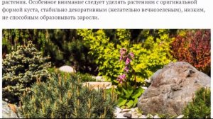 Как создать цветник с камнями?  Самые популярные типы рокариев.