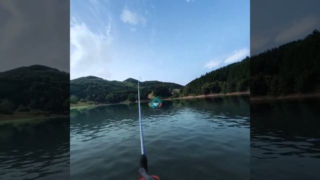 Lake Yongbi ? Fancy Carp (Rare) - Real VR Fishing ? Oculus Quest 2 - Standalone Mode смотреть онлайн
