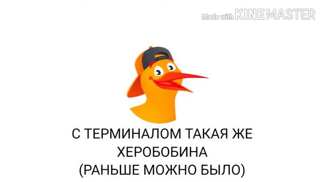 Индетефикация киви. Зачем нужна и как сделать?| Недорогая индетефикация киви. смотреть онлайн