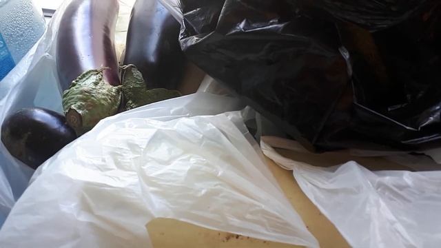 Когда ОТПУСК не на МОРЯХ/Мамины АРБУЗЫ НА ЗИМУ/Заморозка/Варенье для ПИРОГОВ/ЗЕБРА ИЗ Детства/VLOG смотреть онлайн