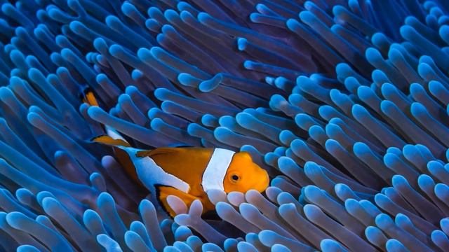 99% людей осознают ЭТО слишком поздно! Эти мудрые притчи помогут вам… смотреть онлайн