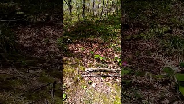 Достопримечательности Туапсинского района. смотреть онлайн